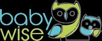 Logo Baby Wise