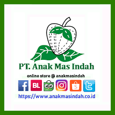 Logo PT Anak Mas Indah