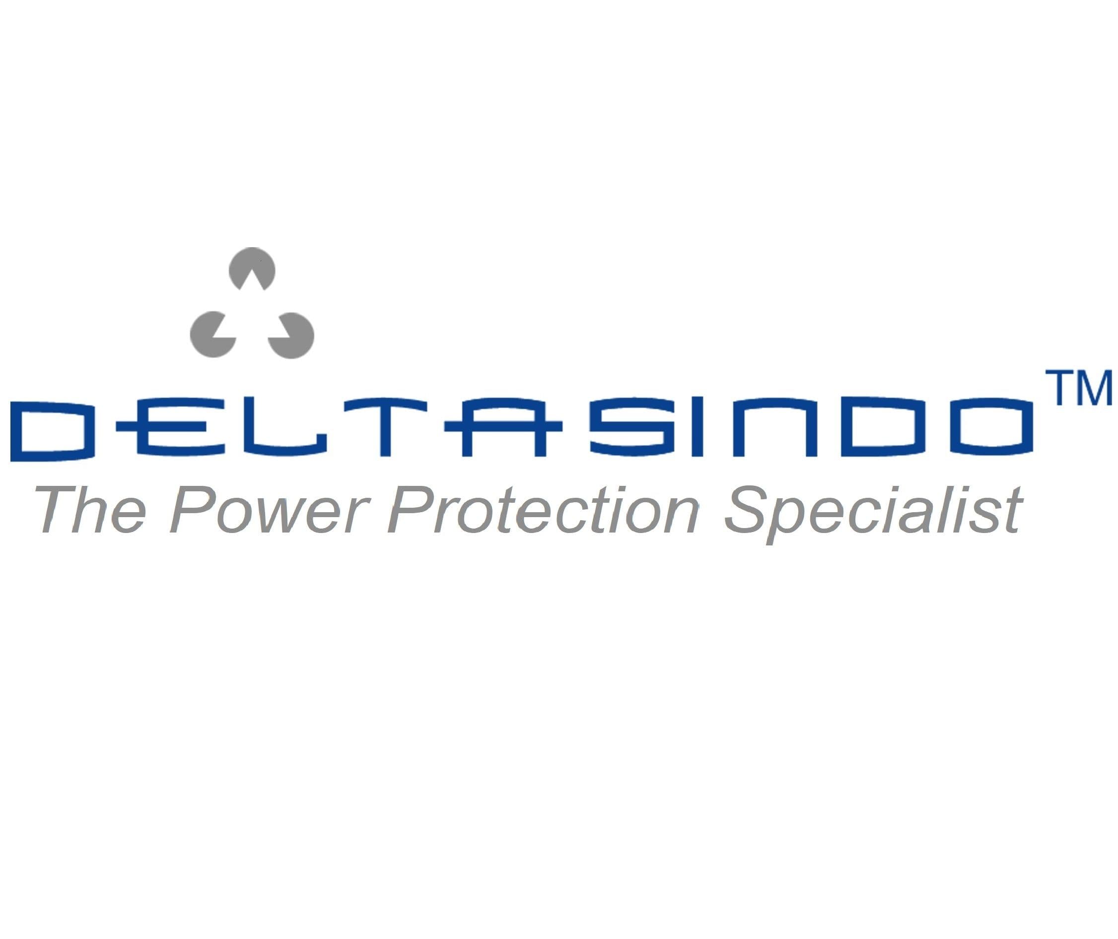 Logo PT Deltasindo Raya Sejahtera