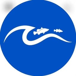 logo company