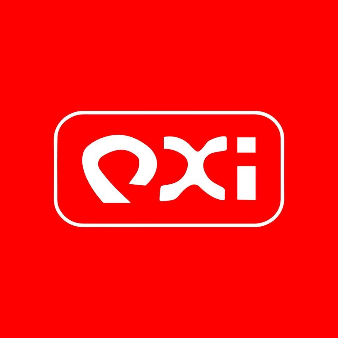 Logo PT Qiao Xing Industry